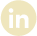 LinkedIn Icon